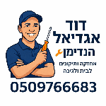 תמונת הפרופיל של דוד אגדיאל